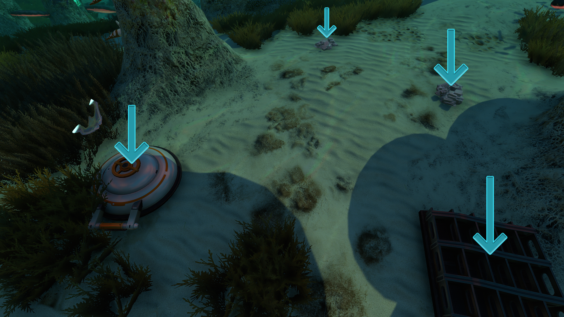 A Cyclops Hull Fragment, Cyclops Bridge Fragment, and two salt deposits in the Mushroom Forest